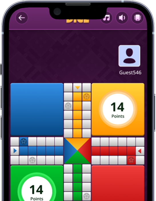 Ludo Board